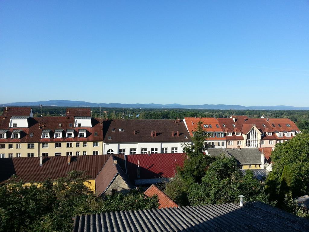 Apartment Adéla Hluboká nad Vltavou Habitación foto